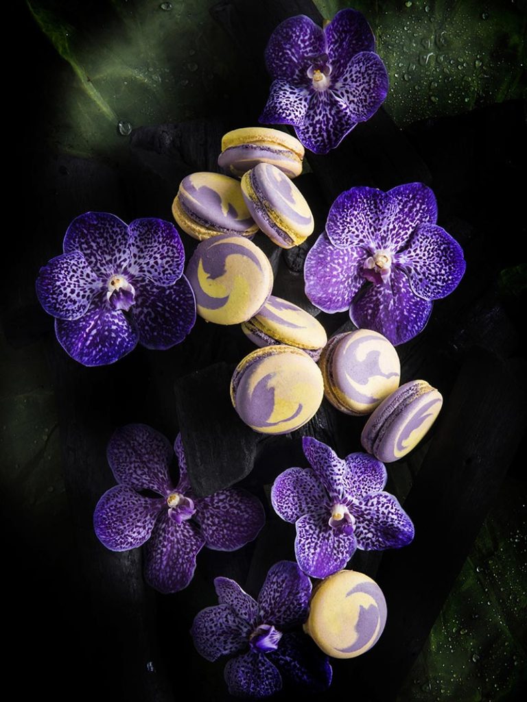 Macaroon orchid
